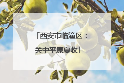 西安市临潼区：关中平原夏收