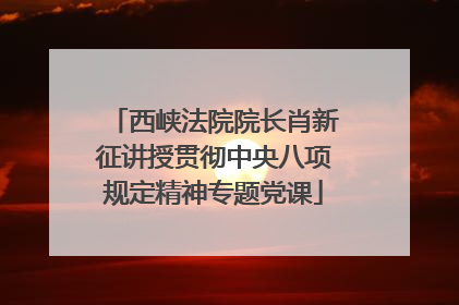 西峡法院院长肖新征讲授贯彻中央八项规定精神专题党课