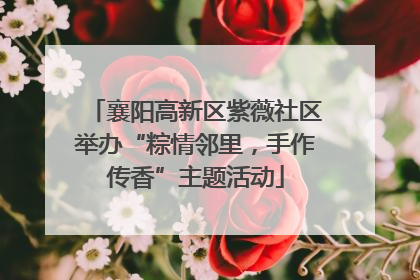 襄阳高新区紫薇社区举办“粽情邻里，手作传香”主题活动