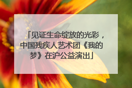 见证生命绽放的光彩，中国残疾人艺术团《我的梦》在沪公益演出