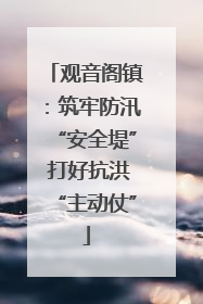 观音阁镇：筑牢防汛“安全堤” 打好抗洪“主动仗”