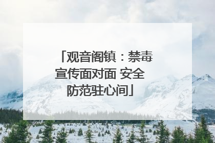 观音阁镇：禁毒宣传面对面 安全防范驻心间