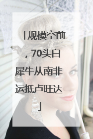 规模空前，70头白犀牛从南非运抵卢旺达