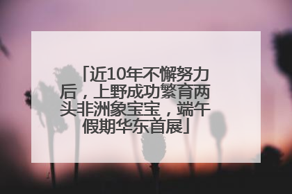 近10年不懈努力后，上野成功繁育两头非洲象宝宝，端午假期华东首展