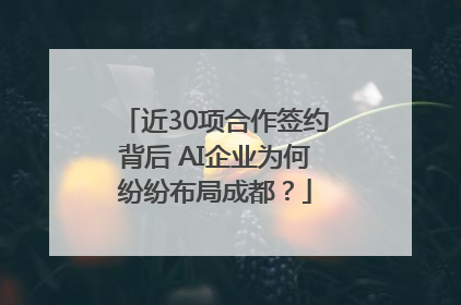 近30项合作签约背后 AI企业为何纷纷布局成都？