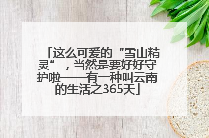 这么可爱的“雪山精灵”，当然是要好好守护啦——有一种叫云南的生活之365天