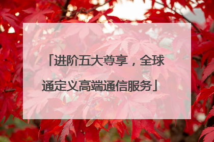 进阶五大尊享，全球通定义高端通信服务