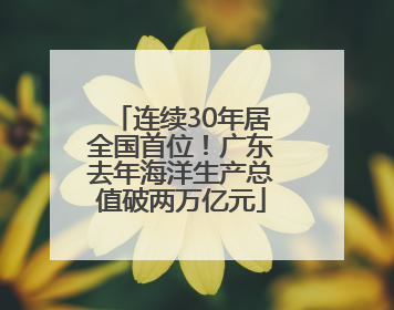 连续30年居全国首位！广东去年海洋生产总值破两万亿元