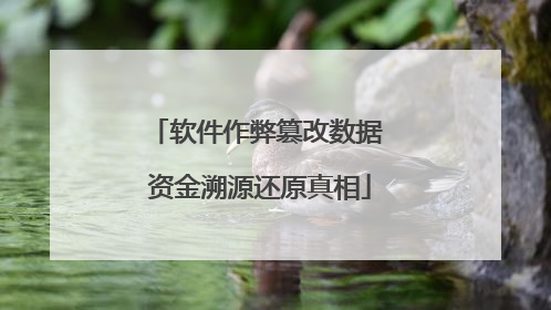软件作弊篡改数据 资金溯源还原真相