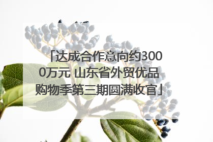 达成合作意向约3000万元 山东省外贸优品购物季第三期圆满收官