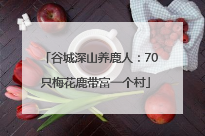 谷城深山养鹿人：70只梅花鹿带富一个村