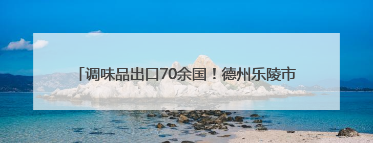 调味品出口70余国！德州乐陵市支持企业加快布局多元化国际市场