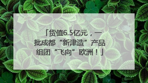 货值6.5亿元，一批成都“新津造”产品组团“飞向”欧洲！