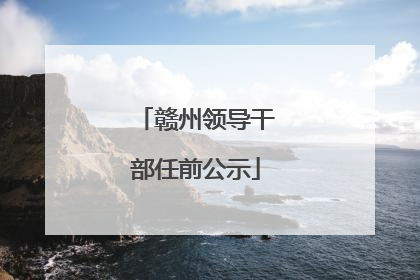 赣州领导干部任前公示