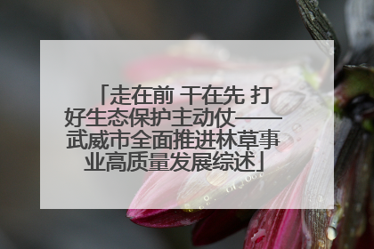 走在前 干在先 打好生态保护主动仗——武威市全面推进林草事业高质量发展综述