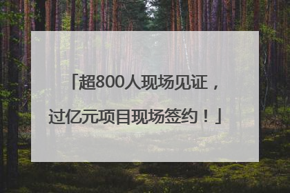 超800人现场见证，过亿元项目现场签约！