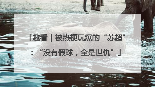 趣看｜被热梗玩爆的“苏超”：“没有假球，全是世仇”