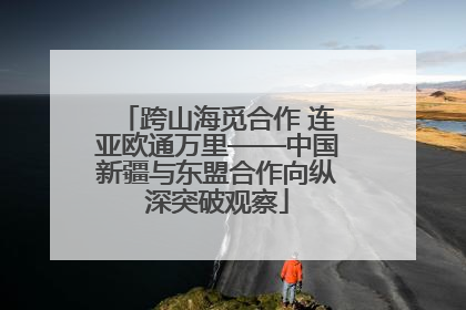 跨山海觅合作 连亚欧通万里——中国新疆与东盟合作向纵深突破观察