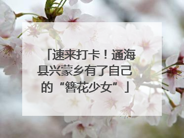 速来打卡！通海县兴蒙乡有了自己的“簪花少女”