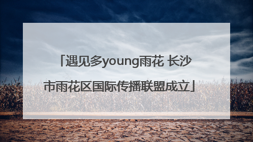 遇见多young雨花 长沙市雨花区国际传播联盟成立