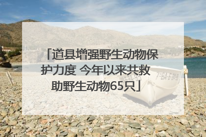 道县增强野生动物保护力度 今年以来共救助野生动物65只