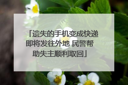 遗失的手机变成快递即将发往外地 民警帮助失主顺利取回