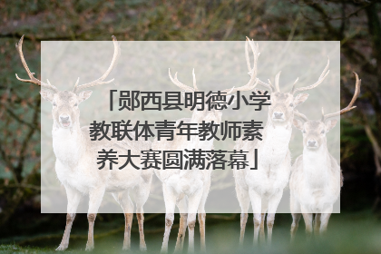 郧西县明德小学教联体青年教师素养大赛圆满落幕