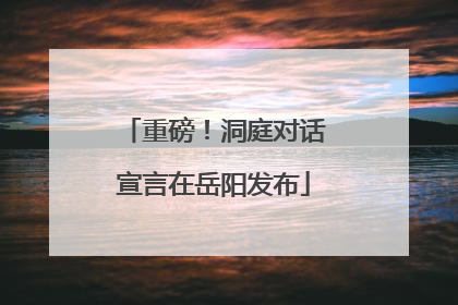 重磅！洞庭对话宣言在岳阳发布
