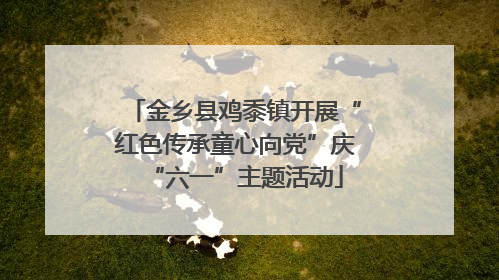 金乡县鸡黍镇开展“红色传承童心向党”庆“六一”主题活动