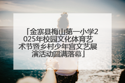 金寨县梅山第一小学2025年校园文化体育艺术节暨乡村少年宫文艺展演活动圆满落幕