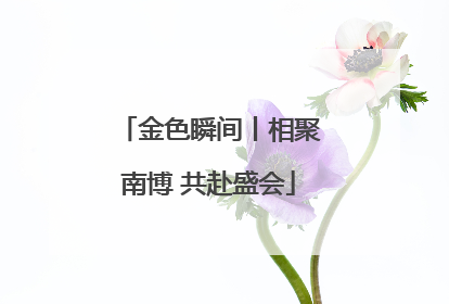 金色瞬间丨相聚南博 共赴盛会