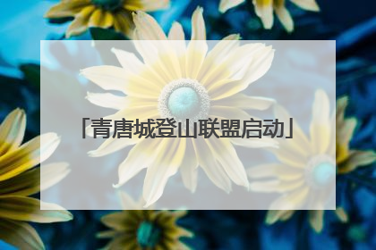 青唐城登山联盟启动