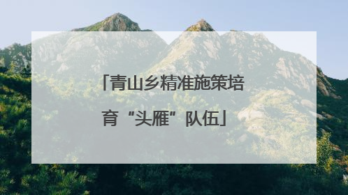 青山乡精准施策培育“头雁”队伍