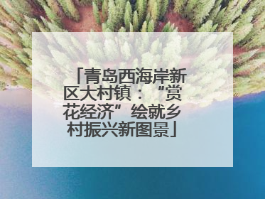 青岛西海岸新区大村镇：“赏花经济”绘就乡村振兴新图景