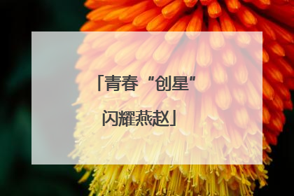青春“创星” 闪耀燕赵