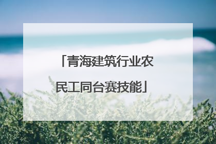 青海建筑行业农民工同台赛技能