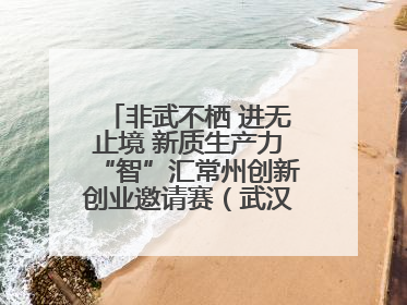 非武不栖 进无止境 新质生产力“智”汇常州创新创业邀请赛（武汉站）圆满举办
