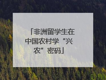 非洲留学生在中国农村学“兴农”密码