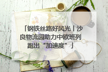 钢铁丝路好风光丨沙良物流园助力中欧班列跑出“加速度”