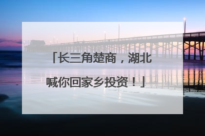 长三角楚商，湖北喊你回家乡投资！