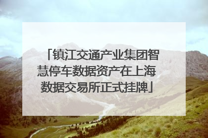 镇江交通产业集团智慧停车数据资产在上海数据交易所正式挂牌