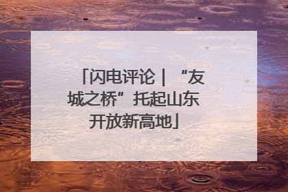 闪电评论｜“友城之桥”托起山东开放新高地
