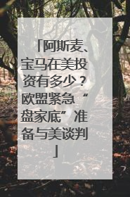阿斯麦、宝马在美投资有多少？欧盟紧急“盘家底”准备与美谈判