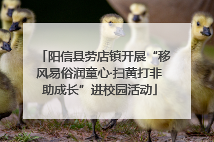 阳信县劳店镇开展“移风易俗润童心·扫黄打非助成长”进校园活动