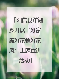 阳信县洋湖乡开展“好家庭好家教好家风”主题宣讲活动
