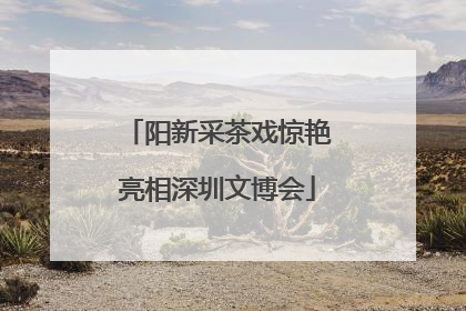 阳新采茶戏惊艳亮相深圳文博会