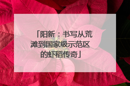 阳新：书写从荒滩到国家级示范区的虾稻传奇