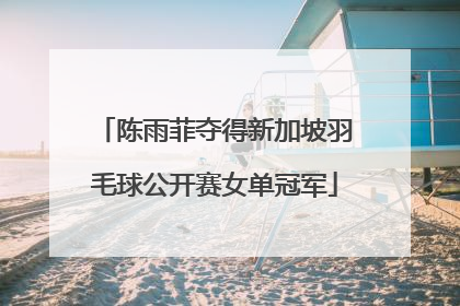 陈雨菲夺得新加坡羽毛球公开赛女单冠军
