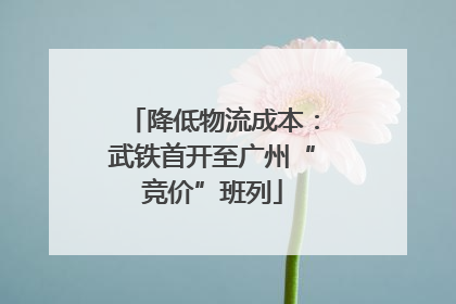 降低物流成本：武铁首开至广州“竞价”班列