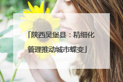 陕西吴堡县：精细化管理推动城市蝶变